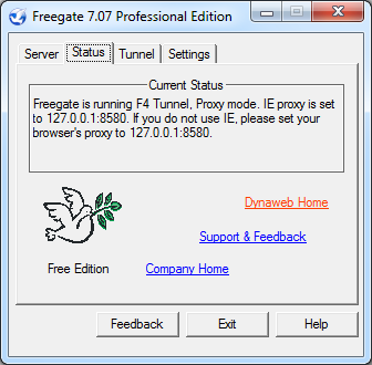 How To Install Freegate Software